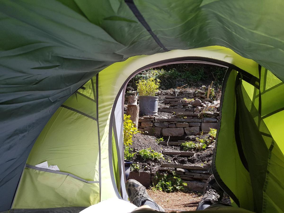 'Yellow Wood Micro Hostel-Eco Urban Bothy Style Very Basic But Cosy Redecorating But Cheap & Friendly Quiet Time Lockout 11Pm-7Am Bring Towel Or Hire Brecon Exterior photo